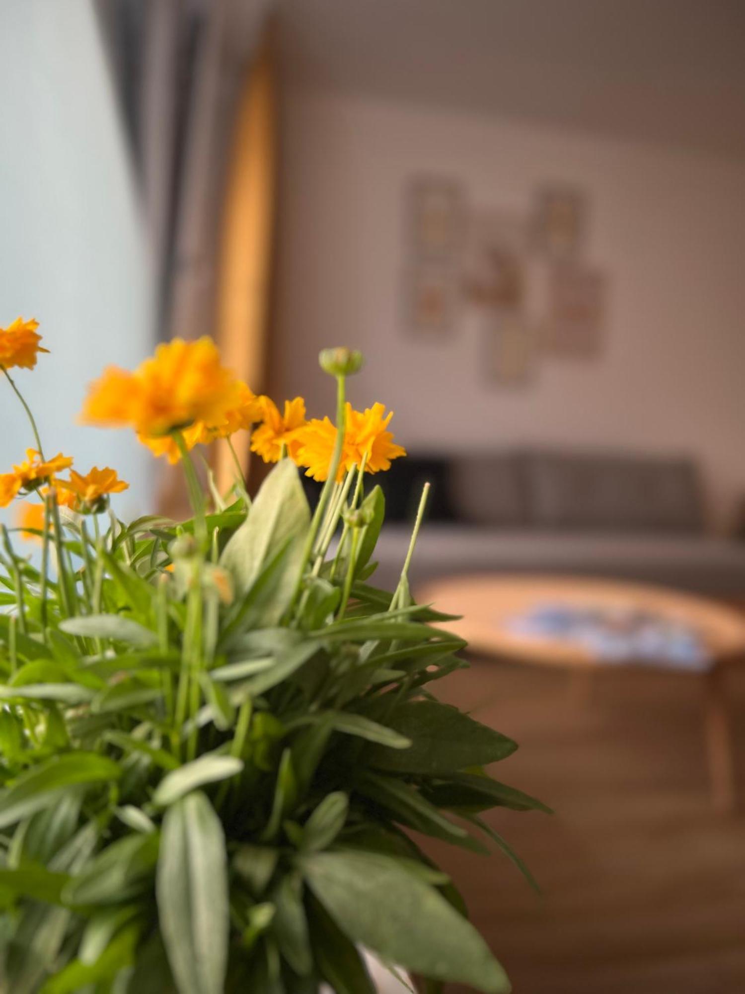 Ferienwohnung Sonneck Oberstaufen Luaran gambar